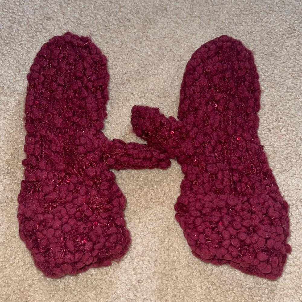 Anthropologie Winter Mittens